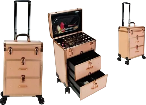 3488 pool rod cosmetic case rose gold