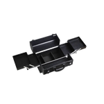 350 makeup case