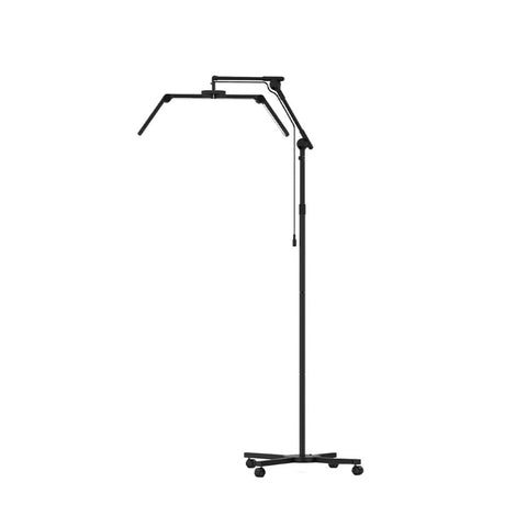 F-800F BLACK BEAUTY HALF-MOONLAMP