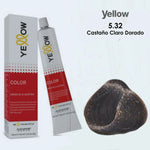 alfaparf yellow Tint