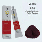 alfaparf yellow Tint