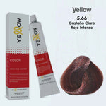 alfaparf yellow Tint
