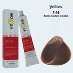 alfaparf yellow Tint