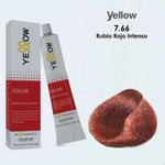 alfaparf yellow Tint