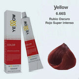 alfaparf yellow Tint