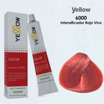 alfaparf yellow Tint